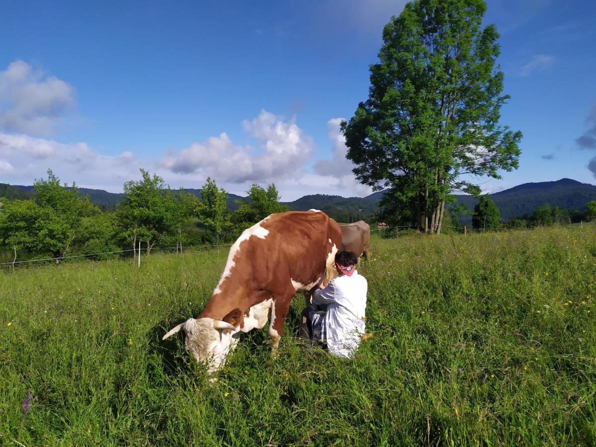 Tourist Farm Strle With Great Local Food Villa Cerknica Exteriör bild