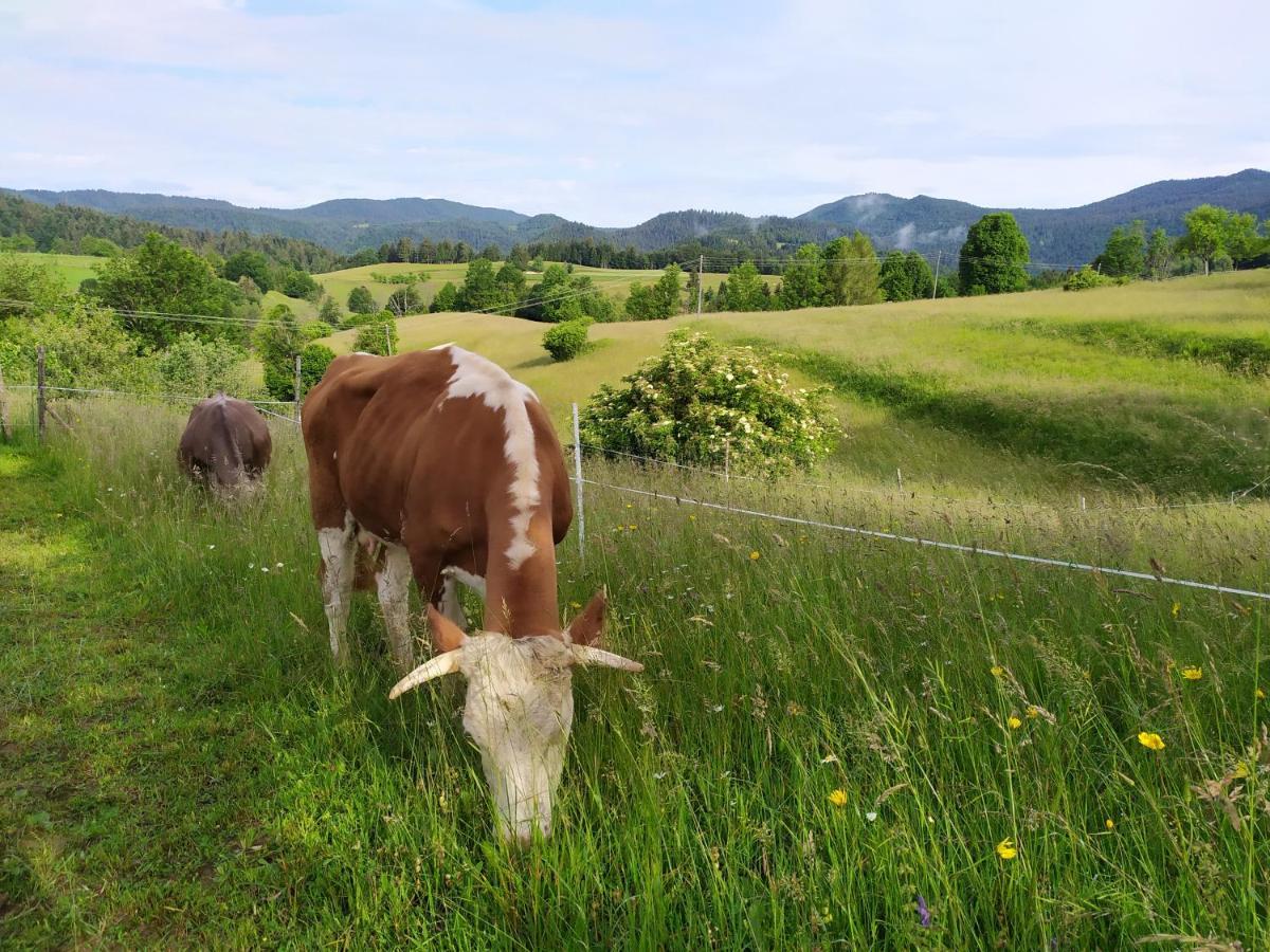 Tourist Farm Strle With Great Local Food Villa Cerknica Exteriör bild