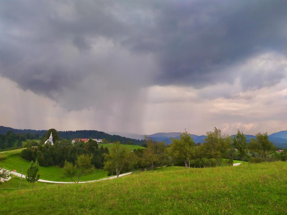 Tourist Farm Strle With Great Local Food Villa Cerknica Exteriör bild