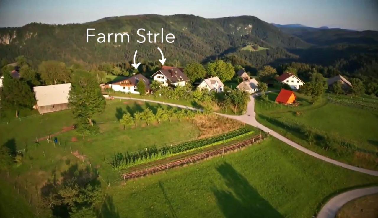 Tourist Farm Strle With Great Local Food Villa Cerknica Exteriör bild