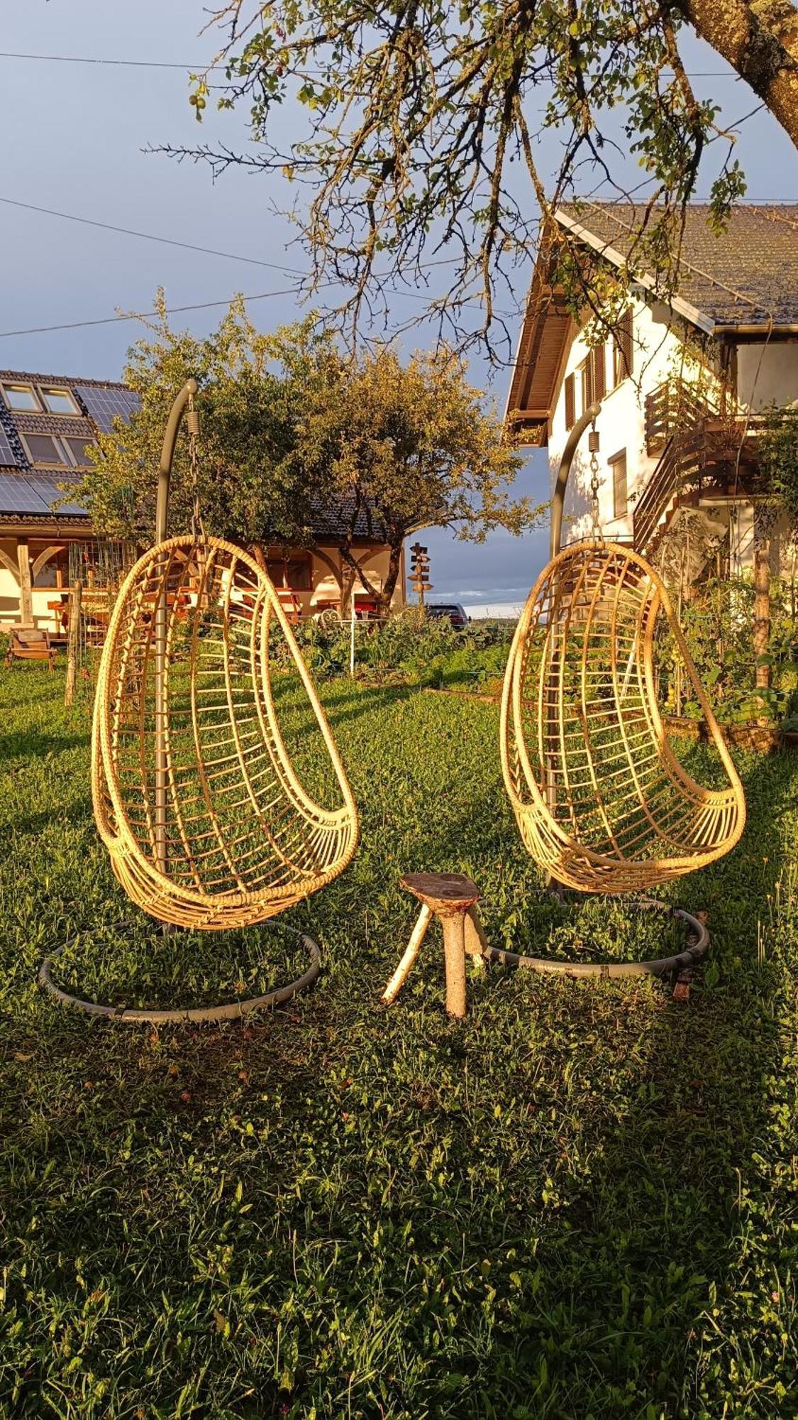 Tourist Farm Strle With Great Local Food Villa Cerknica Exteriör bild