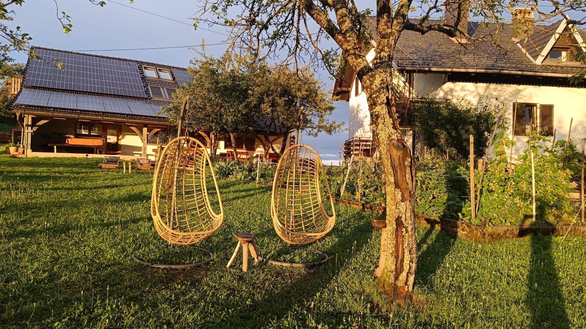 Tourist Farm Strle With Great Local Food Villa Cerknica Exteriör bild