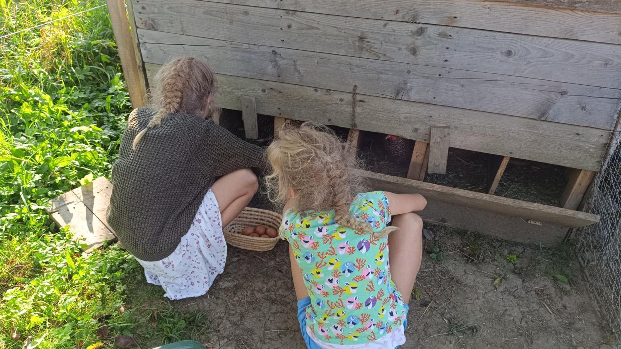 Tourist Farm Strle With Great Local Food Villa Cerknica Exteriör bild