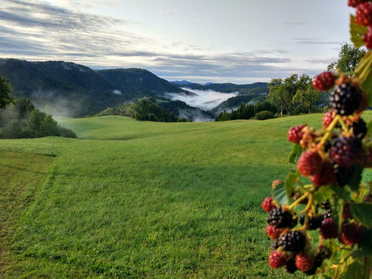 Tourist Farm Strle With Great Local Food Villa Cerknica Exteriör bild