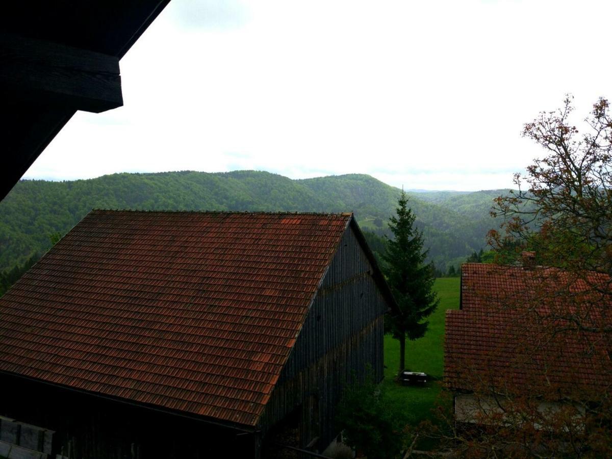 Tourist Farm Strle With Great Local Food Villa Cerknica Exteriör bild