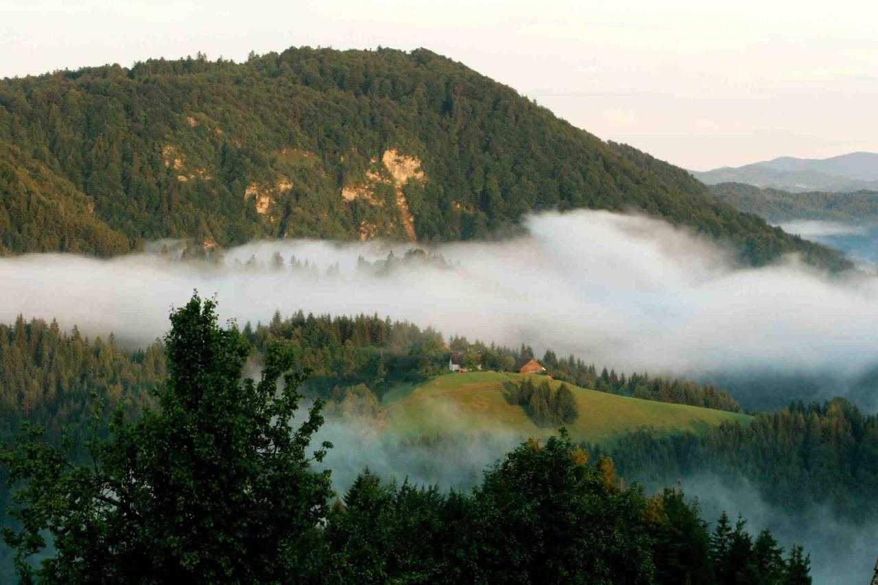 Tourist Farm Strle With Great Local Food Villa Cerknica Exteriör bild