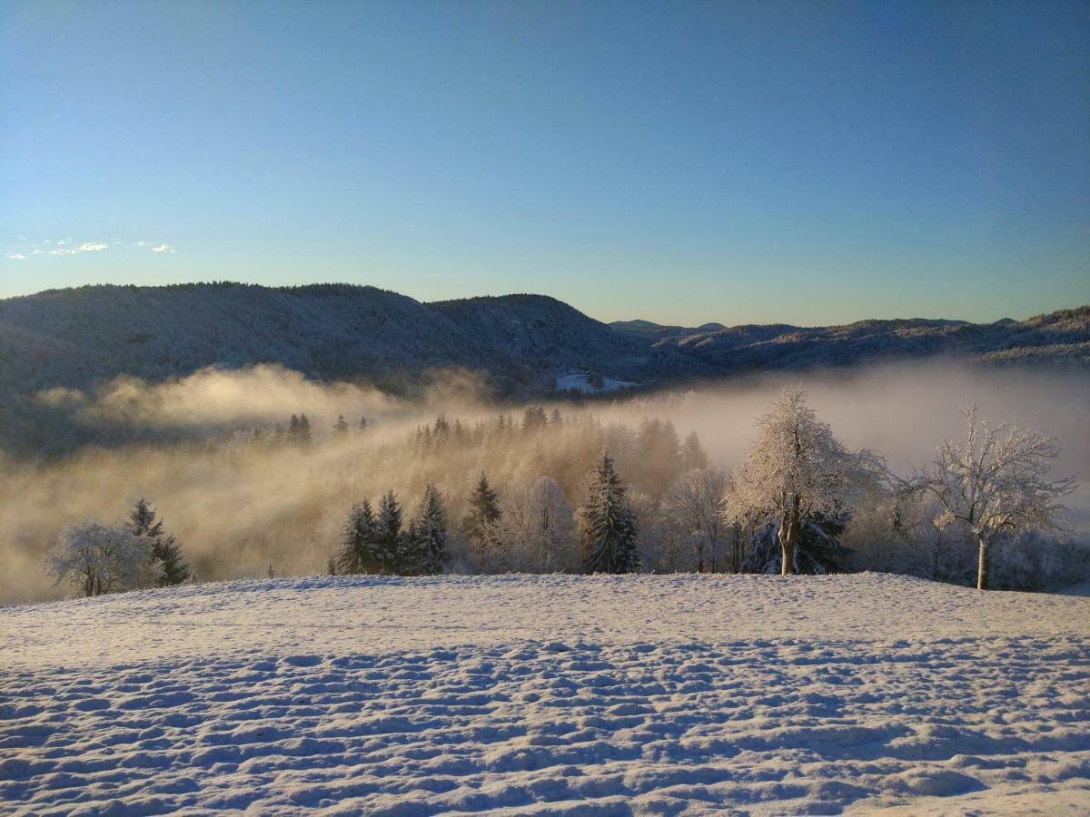 Tourist Farm Strle With Great Local Food Villa Cerknica Exteriör bild