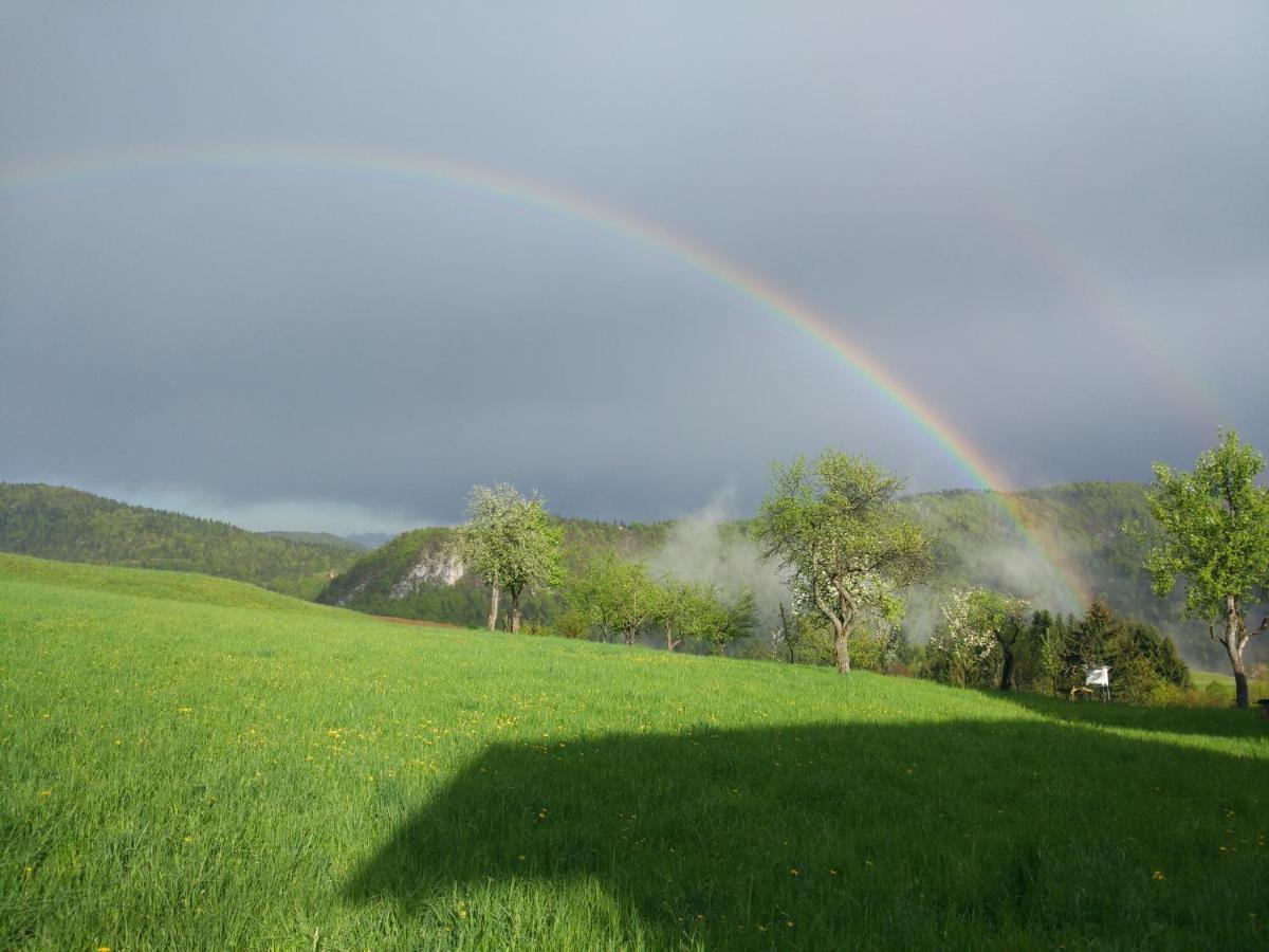 Tourist Farm Strle With Great Local Food Villa Cerknica Exteriör bild